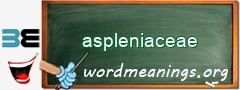 WordMeaning blackboard for aspleniaceae